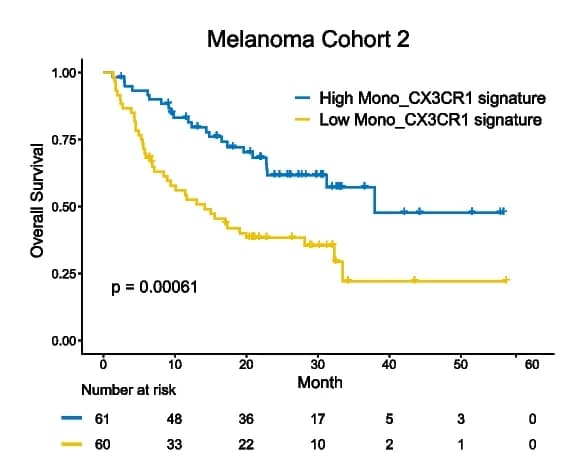 Open access visualization of Survival Curve, Kaplan-Meier Survival Curve, Mono_CX3CR1 Signature, Melanoma Cohort, Log-Rank Test