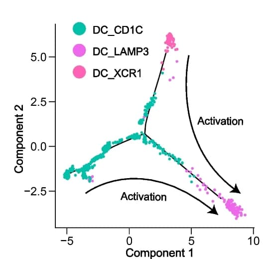Open access visualization of Scatter Plot, UMAP, PCA, Developmental Trajectory, DC