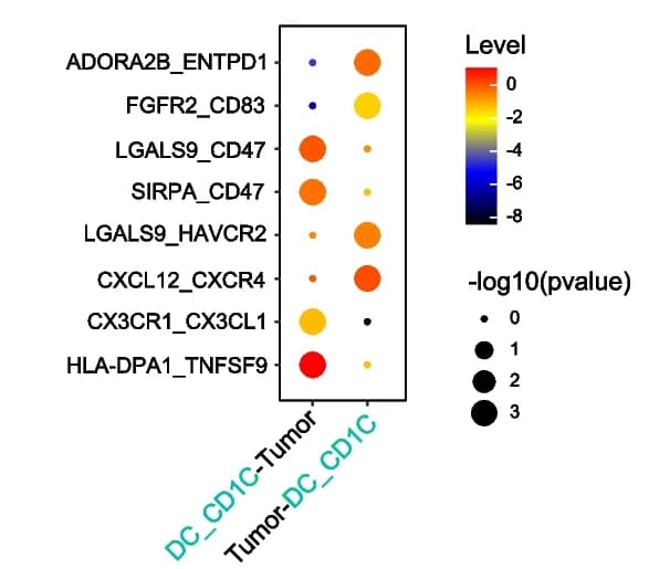 Open access visualization of Bubble Plot, Ligand-Receptor Interactions, CellPhoneDB, Cancer Cells, cDC2s