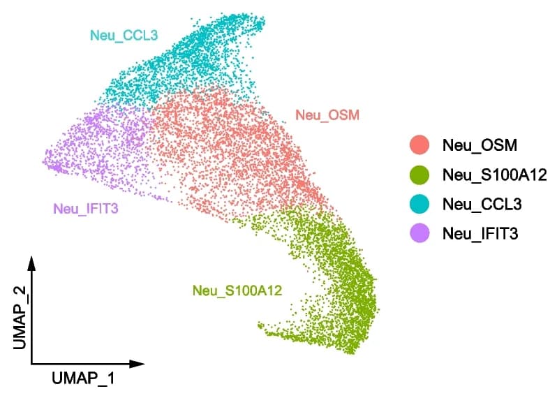 Open access visualization of Scatter Plot, UMAP, Neutrophils