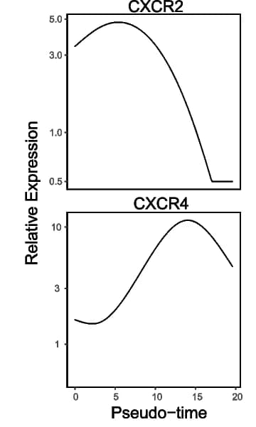 Open access visualization of Line Plot, CXCR2, CXCR4, Neutrophils