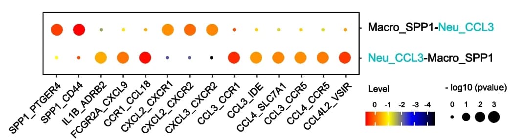 Open access visualization of Bubble Plot, Ligand-Receptor Interactions, CellPhoneDB, Neu_CCL3 Neutrophils, Macro_SPP1 Macrophages