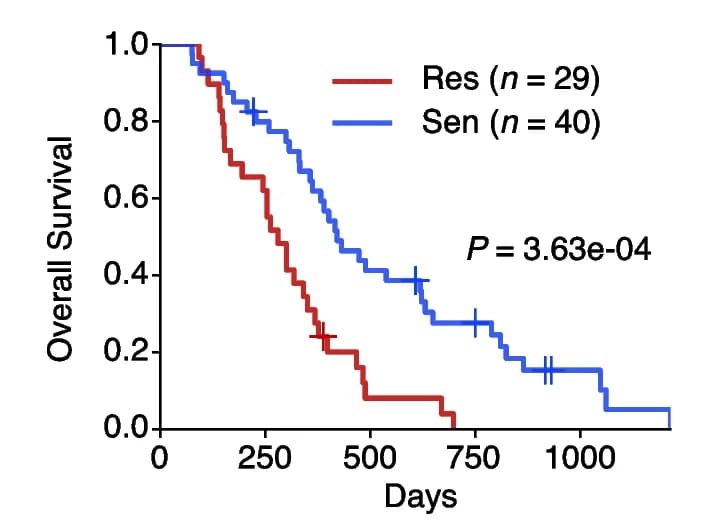 Open access visualization of Line Step, Survival Curve, Overall Survival, Temozolomide Resistance, Temozolomide Sensitivity