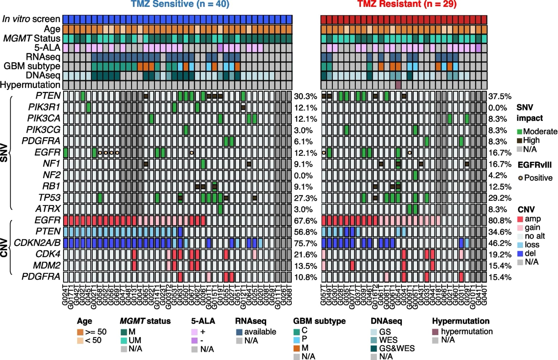 Open access visualization of Heatmap, Somatic Mutation, TMZ Sensitivity, SNV, Point Mutations