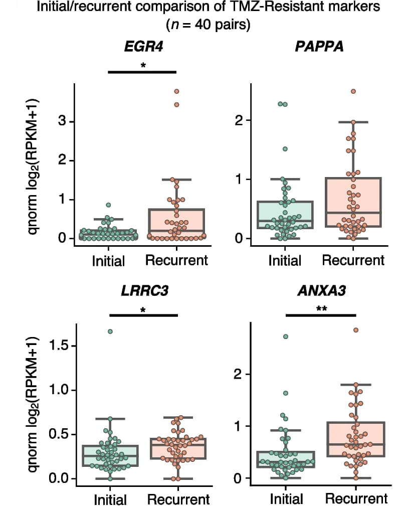 Open access visualization of Box Plot, Scatter Plot, TMZ-Resistant Expression Markers, Longitudinal Sequencing, Glioblastomas