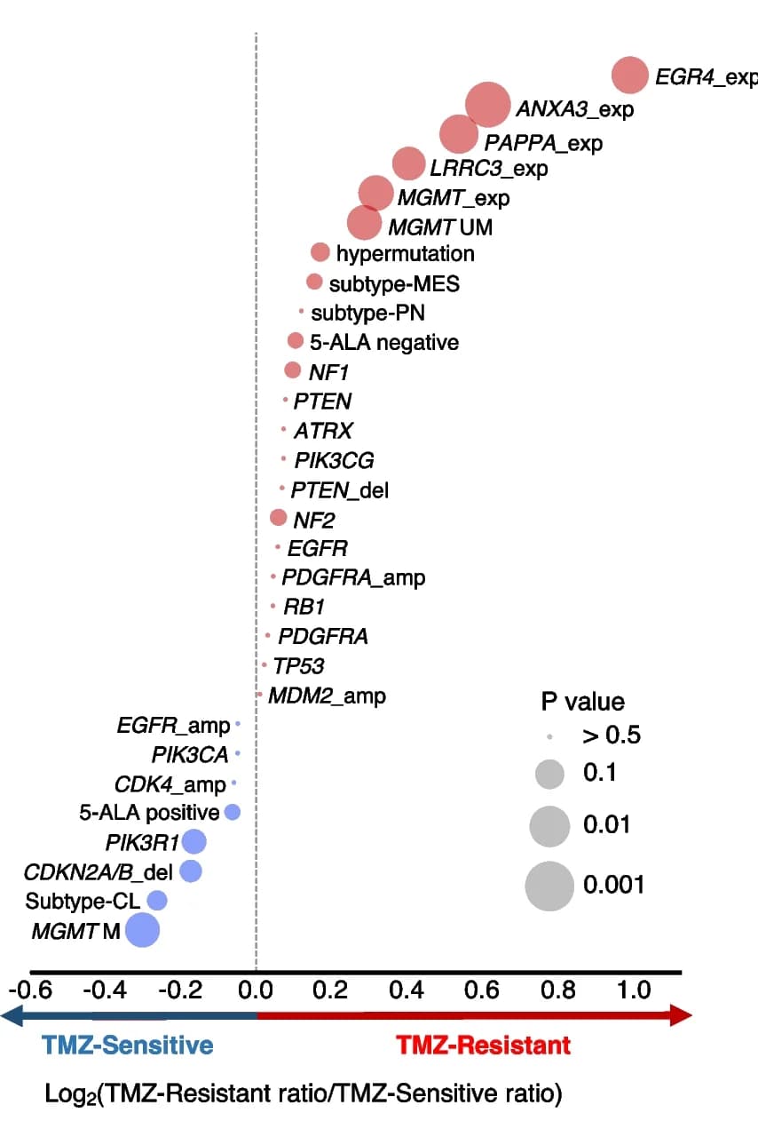 Open access visualization of Bubble Plot, Volcano Plot, TMZ-resistant, TMZ-sensitive, Copy number