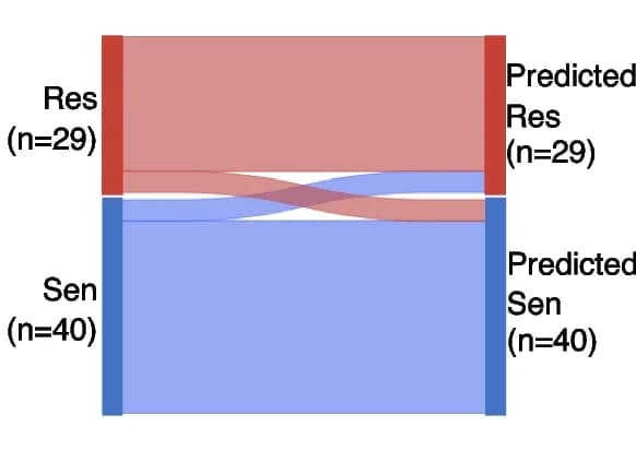Open access visualization of Sankey, Sankey diagram, Confusion matrix, TMZ-sensitive, TMZ-resistant