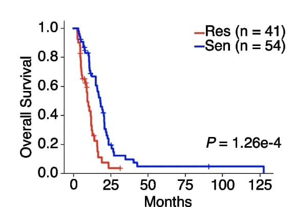 Open access visualization of Survival Curve, Survival curves, TCGA, Mesenchymal samples, TMZ