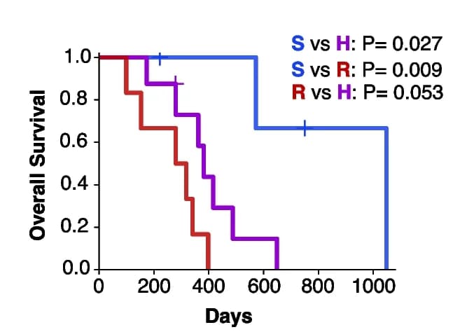 Open access visualization of Line Step, Survival Curve, Overall Survival, Multi-sector Samples, TMZ-Sensitive