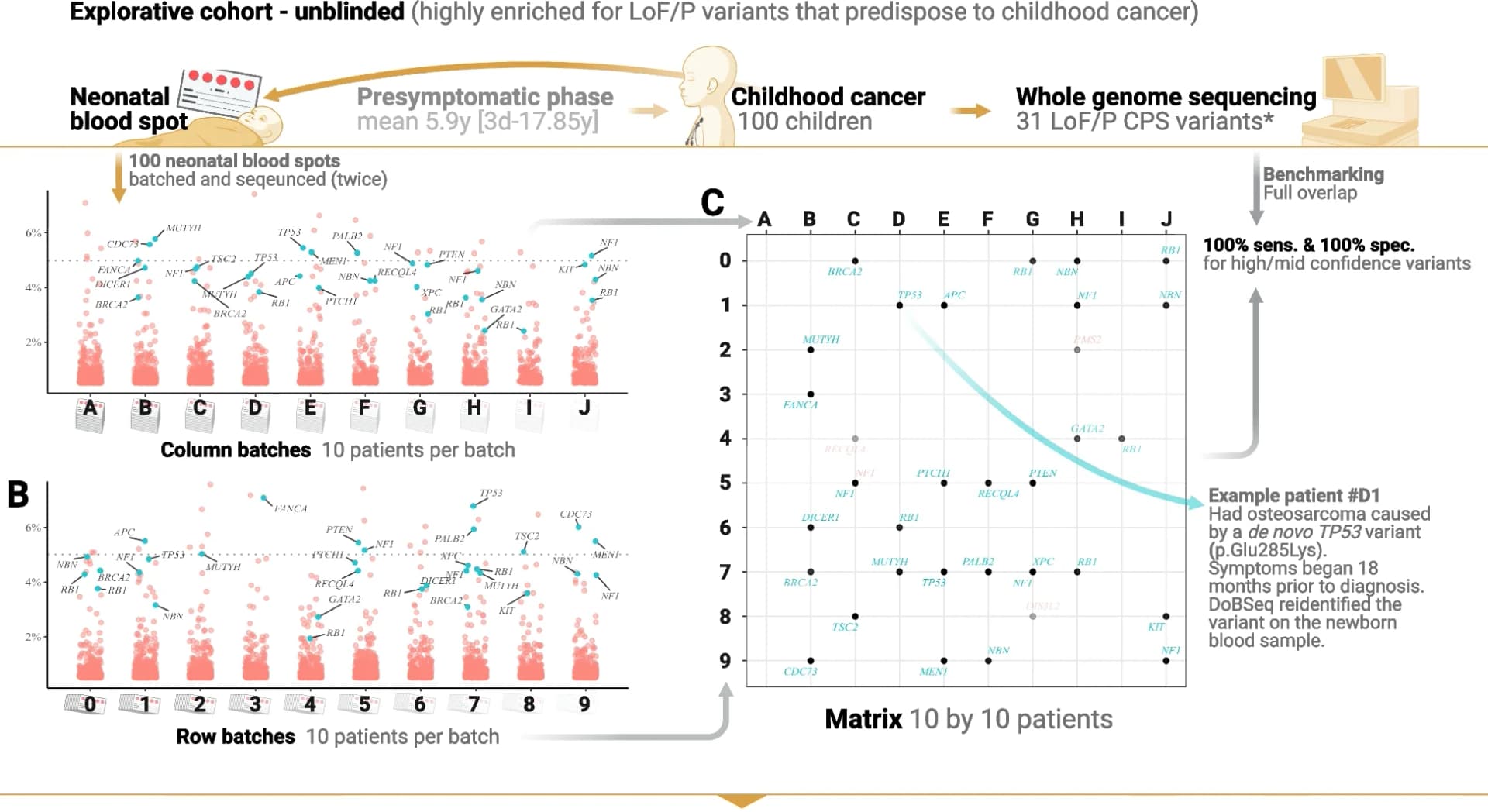Open access visualization of Scatter Plot, Timeline, Patients, Explorative cohort, Neonatal blood spots