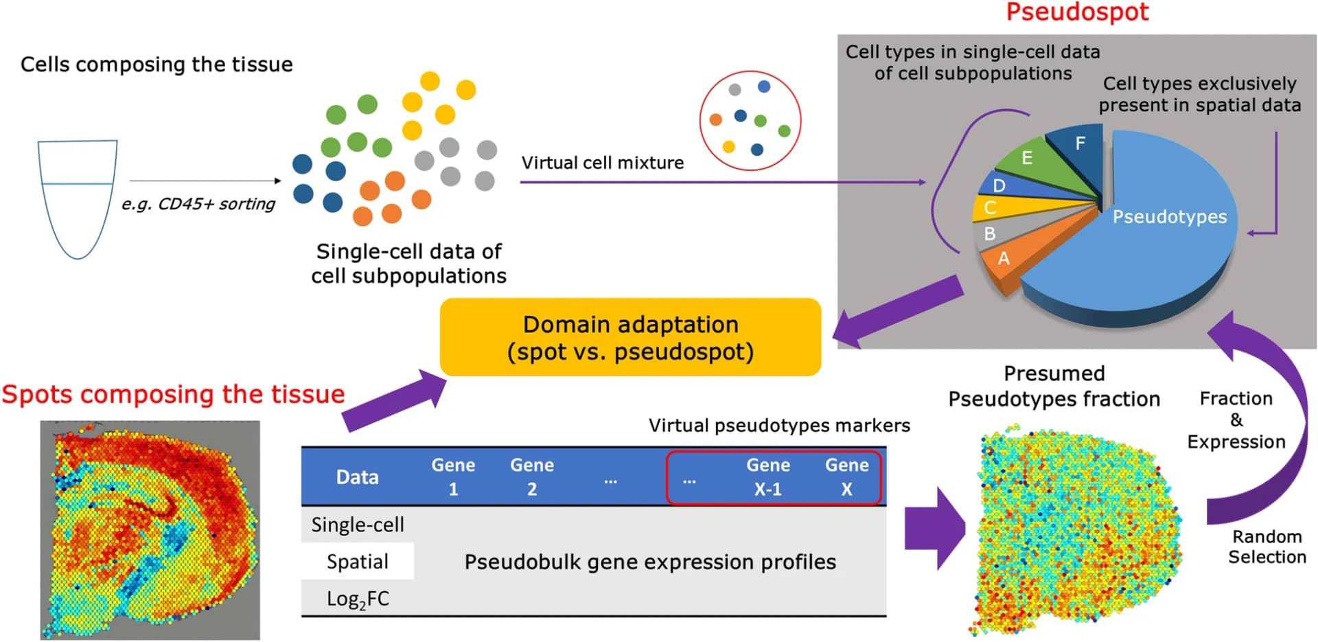 Open access visualization of Workflow, Pie Chart, Illustration, Spatial transcriptomic data, Single-cell transcriptomic data