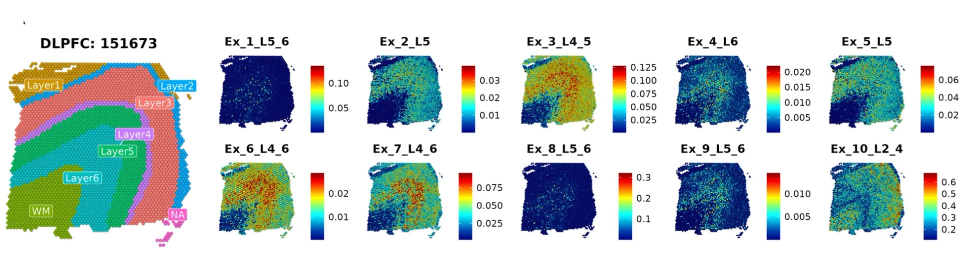 Open access visualization of Heatmap, Excitatory Neuron, Spatial Distribution, Cortical Layer, spSeudoMap