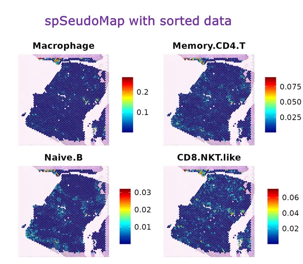 Open access visualization of Heatmap, Immune cell types, spSeudoMap, CD45+ cells, Macrophages