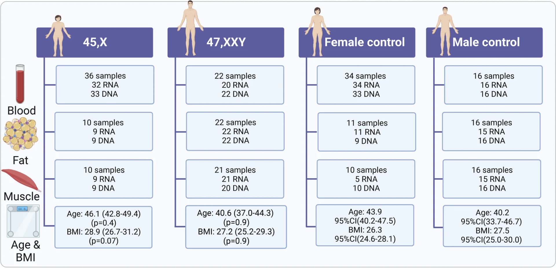 Open access visualization of Illustration, Workflow, Blood, Fat, Muscle