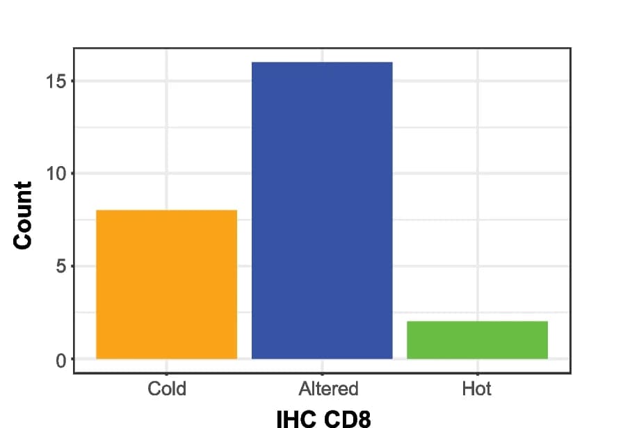 Open access visualization of Bar Plot, Validation Samples, CD8 IHC, Immune-cold, Immune-altered