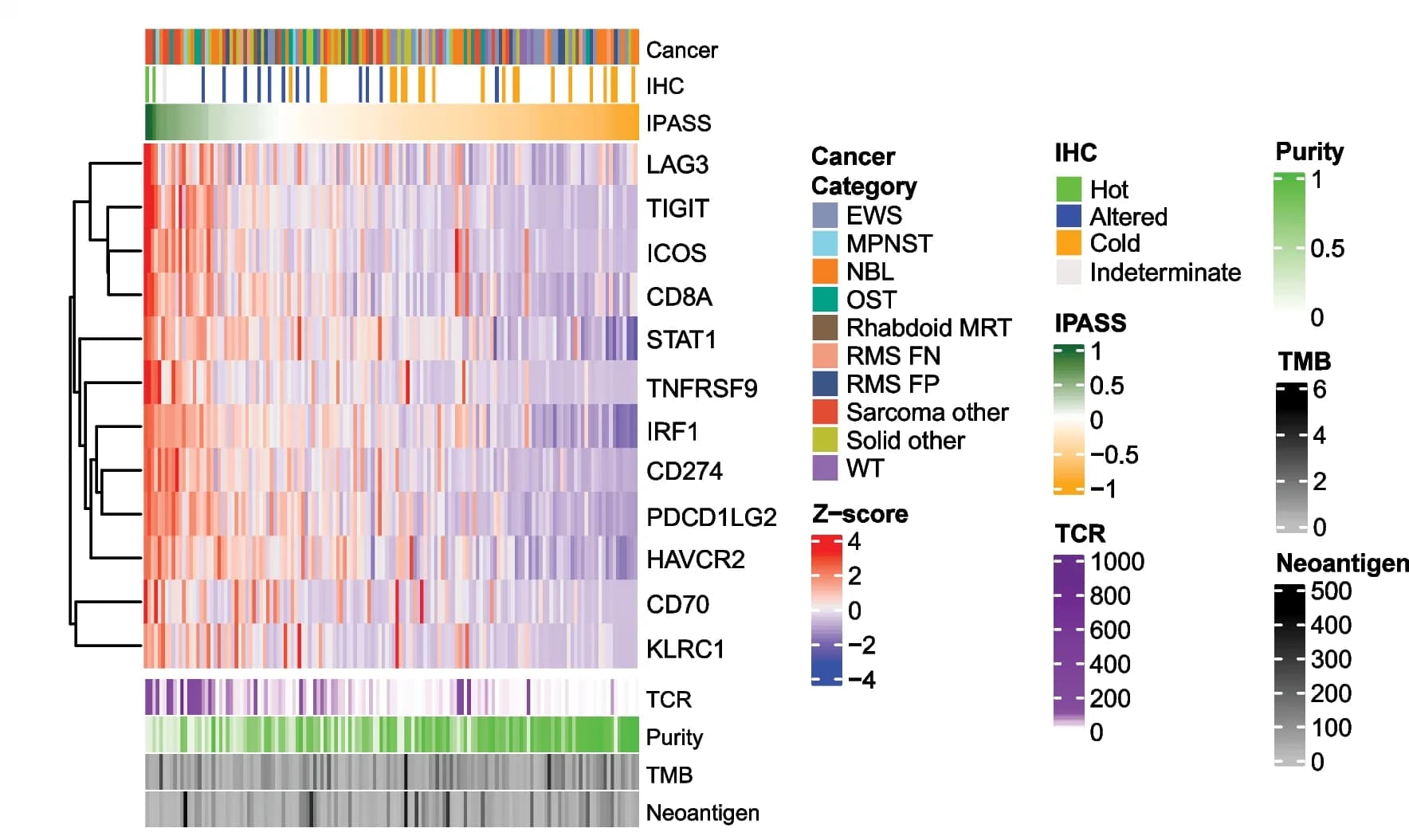 Open access visualization of Heatmap, Clustered, Bar Plot, Immune Checkpoint Genes, IPASS