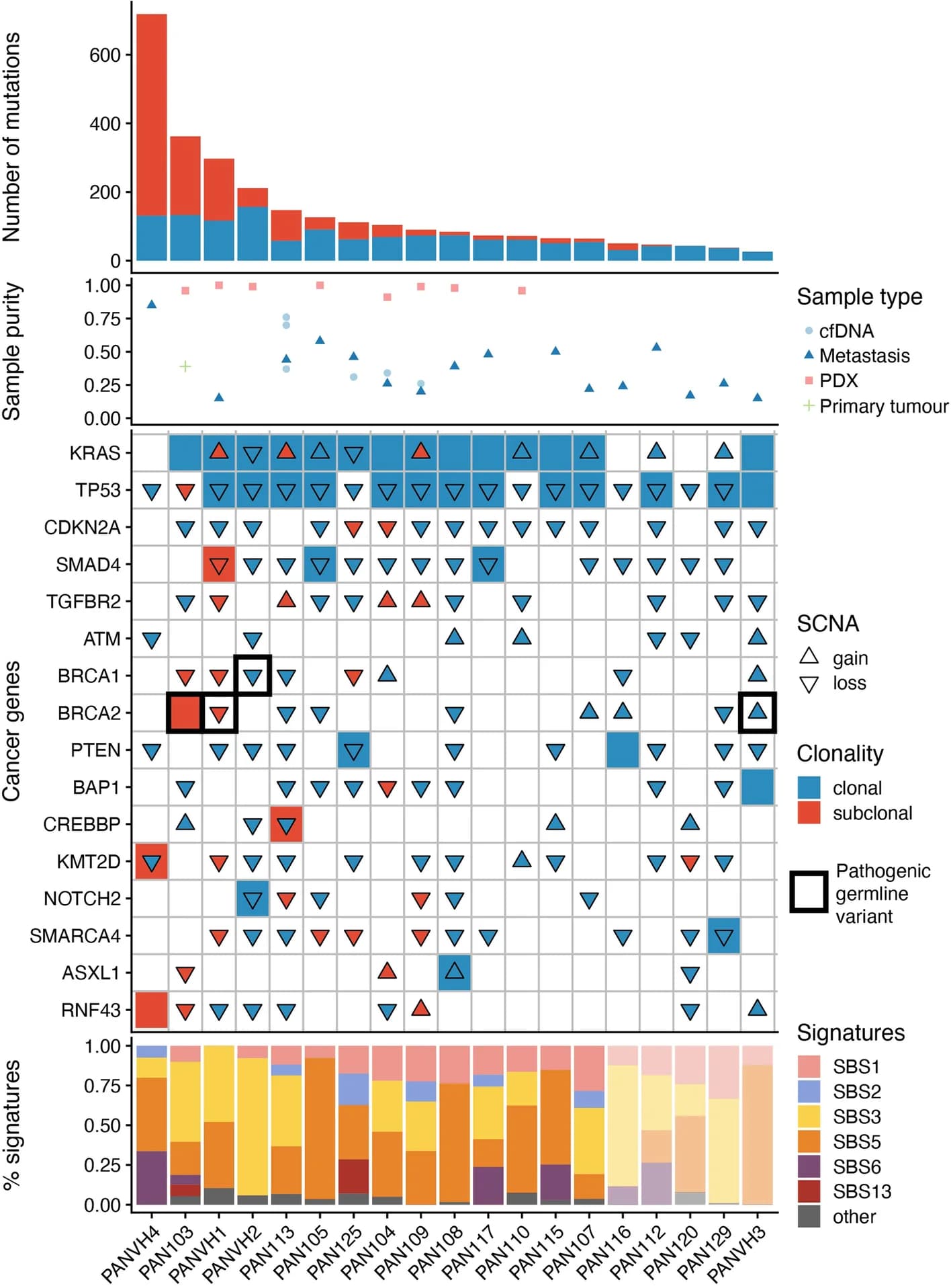Open access visualization of Stacked Bar Plot, Bar Plot, Scatter Plot, Mutation Load, Tumor Purity
