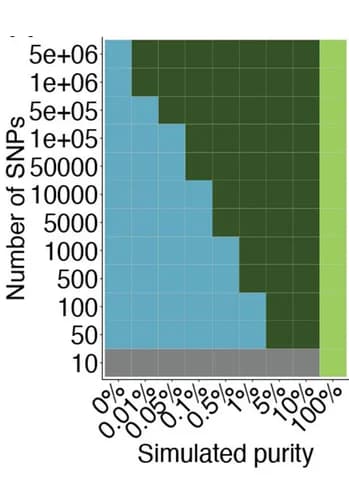 Open access visualization of Heatmap, Simulated data, ACT-Discover, Tumor content, SNPs