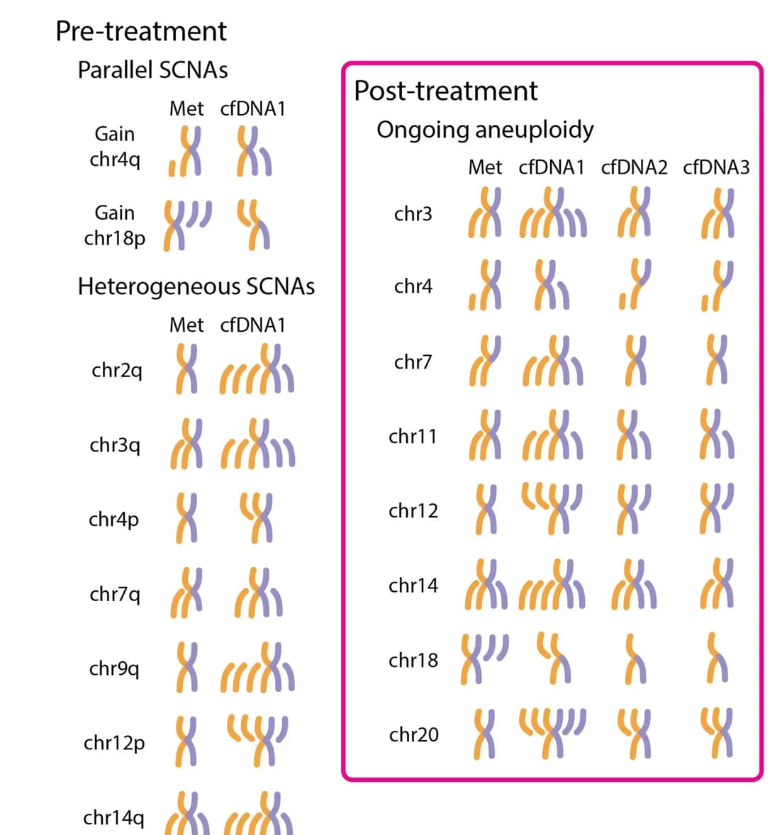 Open access visualization of Illustration, Somatic Copy Number Alterations, SCNAs, Convergent Evolution, Metastatic Sample