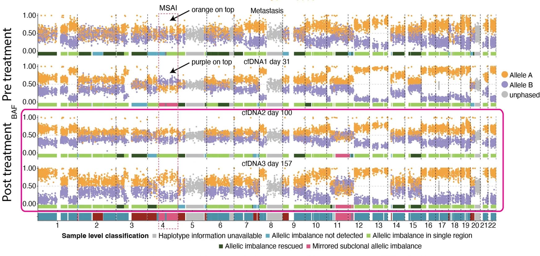 Open access visualization of Scatter Plot, Manhattan Plot, Copy Number Profiles, Metastasis, cfDNA