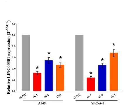 Open access visualization of Bar Plot, Error Bars, Clustered, HE Staining, IHC Staining