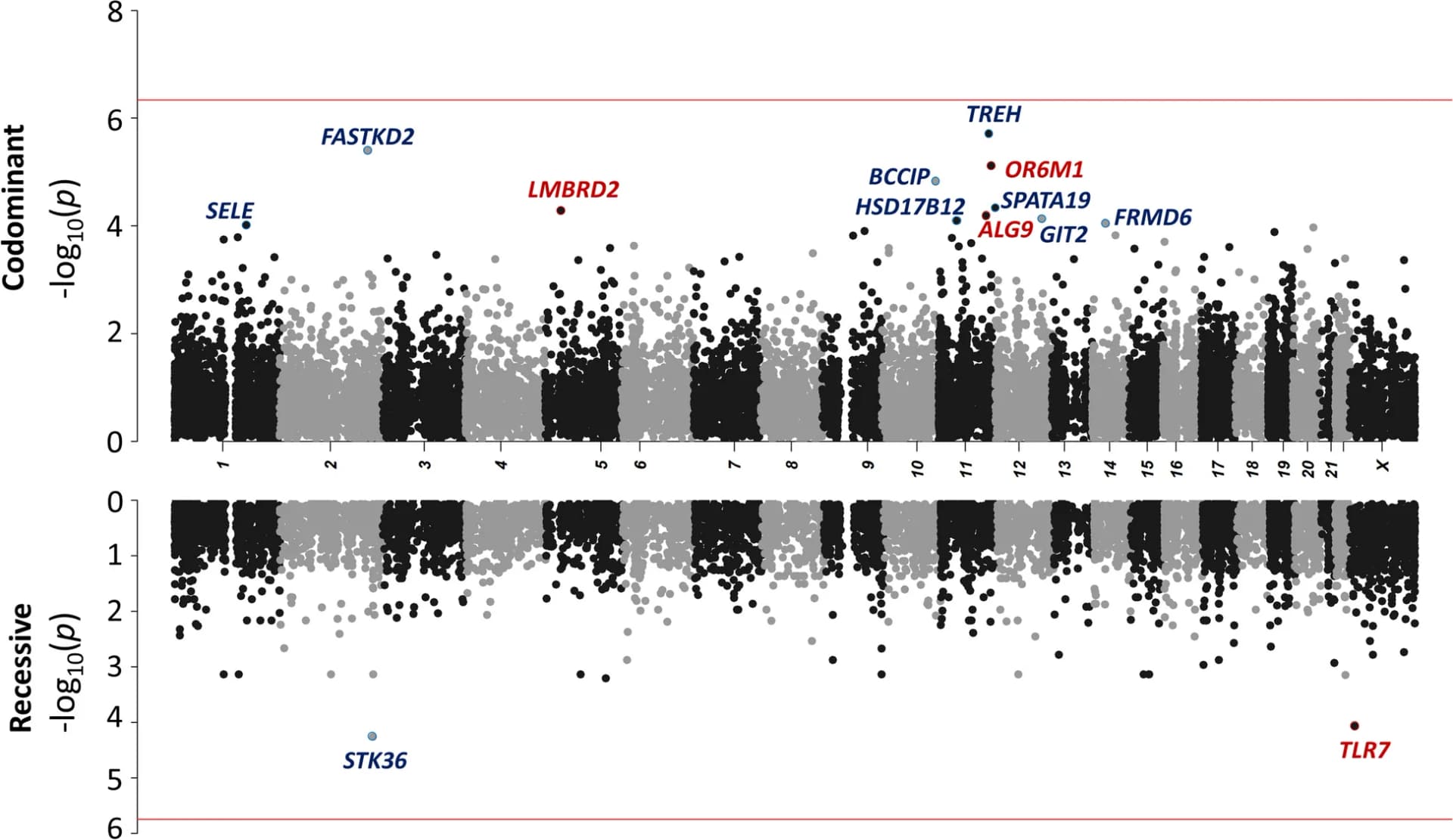 Open access visualization of Manhattan Plot, Scatter Plot, Genome-wide Burden Analysis, Co-dominant Model, Recessive Model