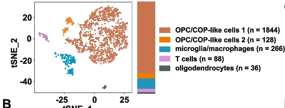 Open access visualization of Scatter Plot, Bar Plot, Stacked Bar Plot, UMAP, t-SNE plot