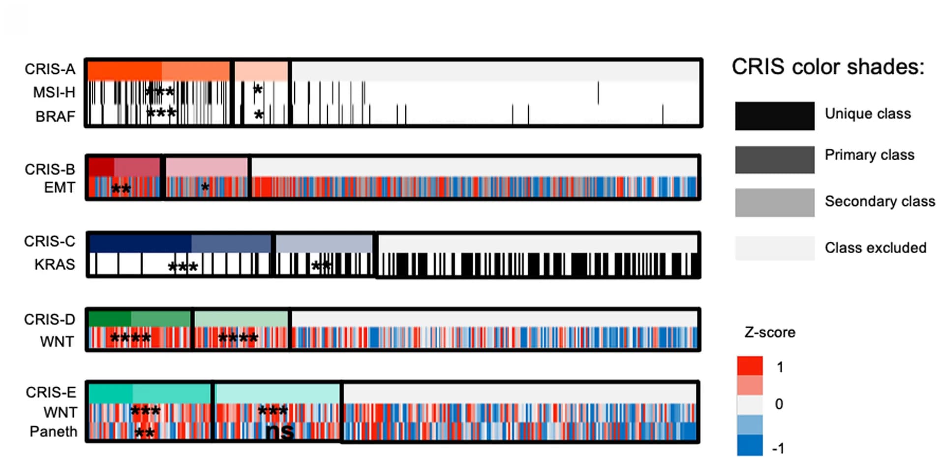 Open access visualization of Heatmap, Molecular Features, Primary CRIS Classes, Secondary CRIS Classes, MSI Status