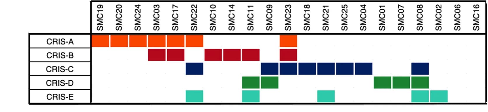 Open access visualization of Heatmap, Single-cell profiles, Tumors, Classification