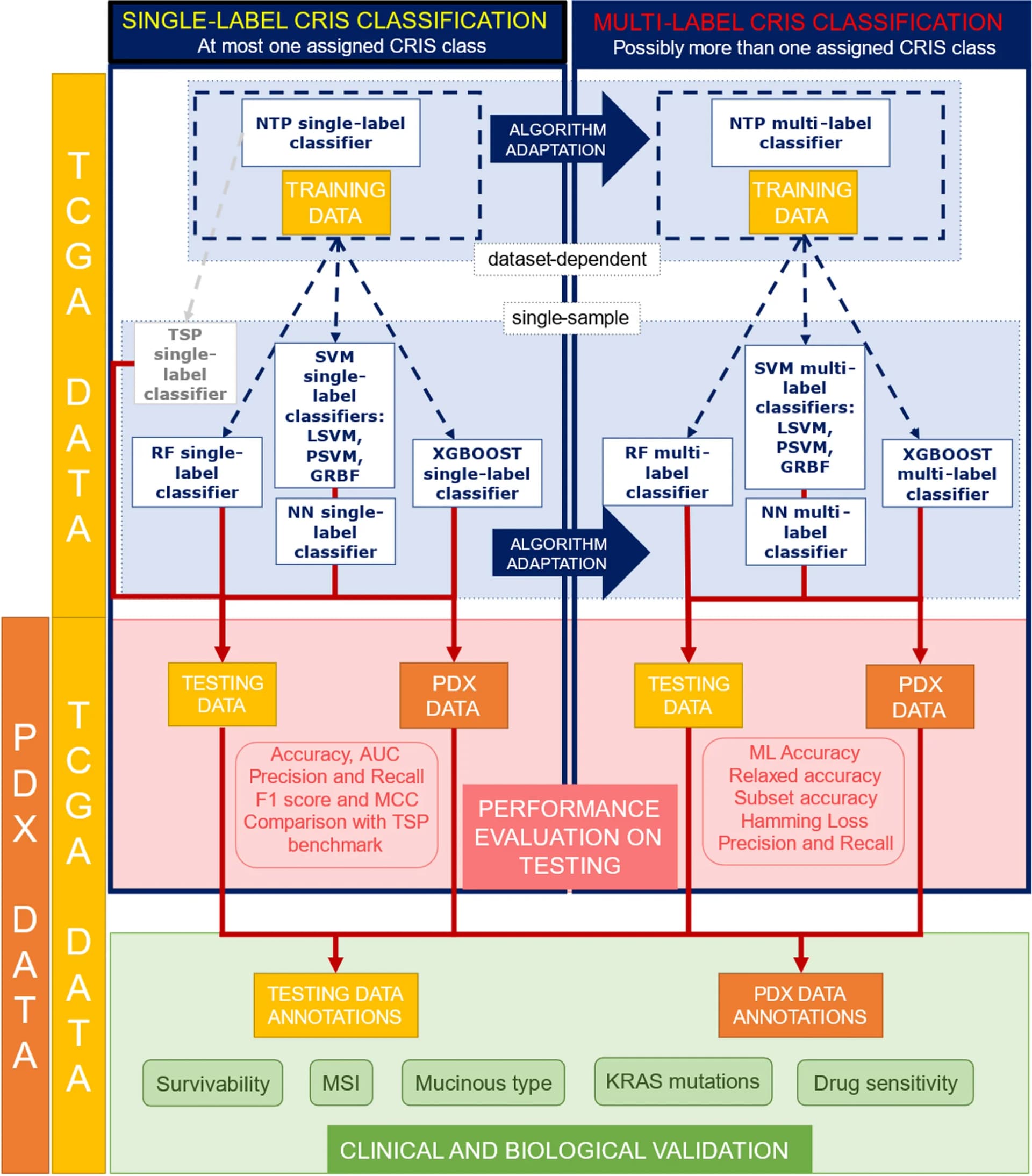 Open access visualization of Workflow, Flowchart, Machine Learning, CRIS Classifier, TCGA