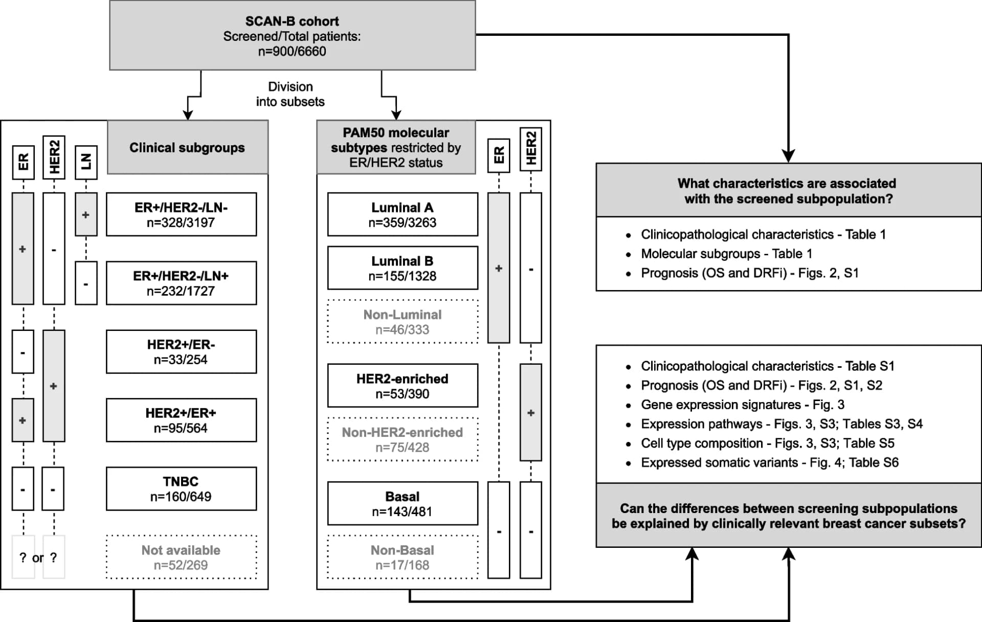 Open access visualization of Workflow, Flowchart, Illustration, Breast Cancer, Subgroups