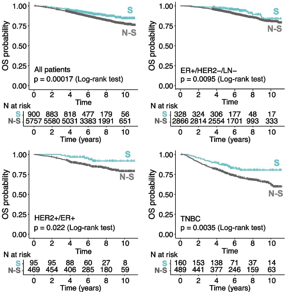 Open access visualization of Survival Curve, Kaplan-Meier Curves, Screening Subpopulations, Overall Survival, Patient Outcome
