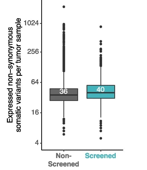Open access visualization of Box Plot, Somatic Variants, Tumor Sample, Screening Status