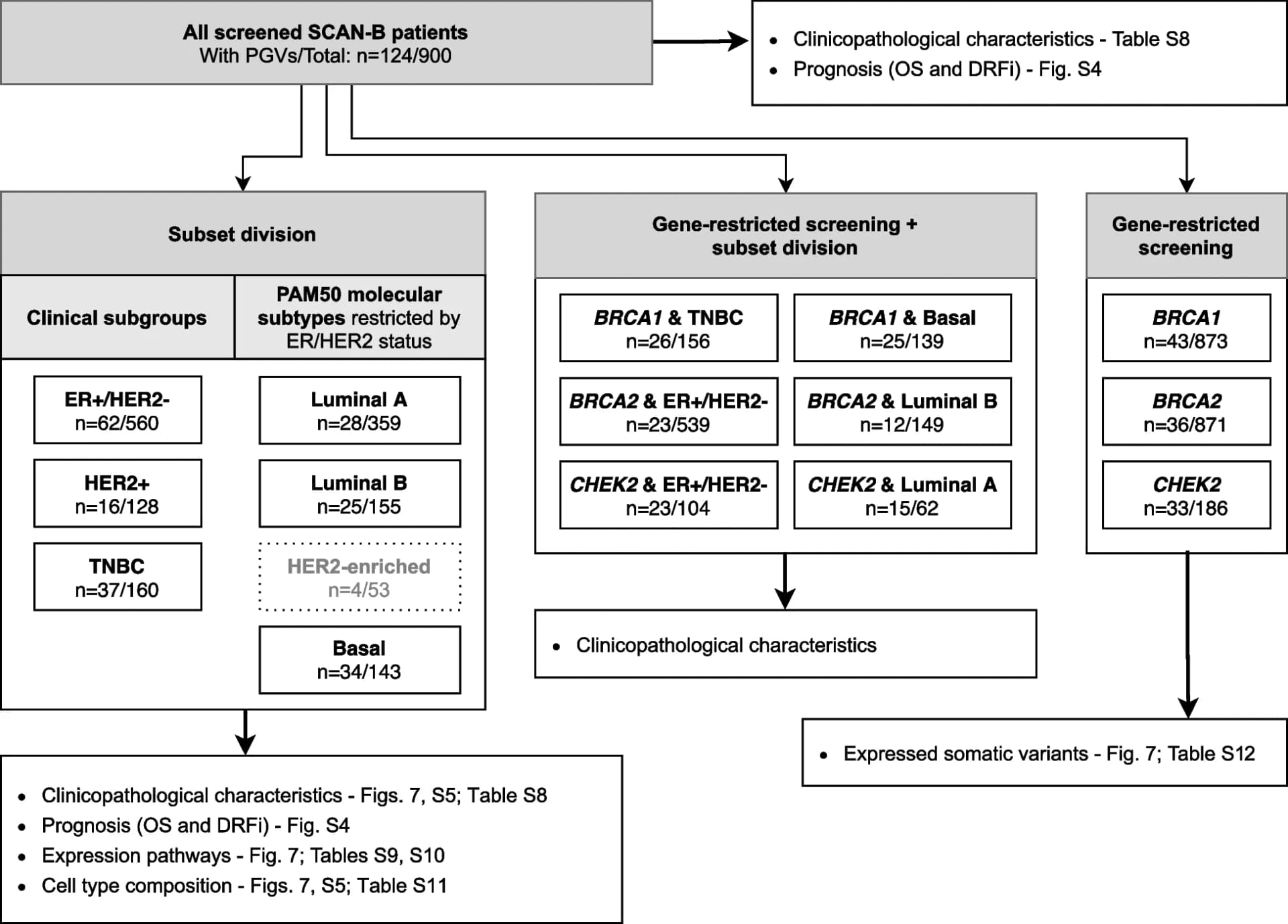Open access visualization of Workflow, Flowchart, Screened Patients, Clinical Subgroups, PAM50 Molecular Subtypes