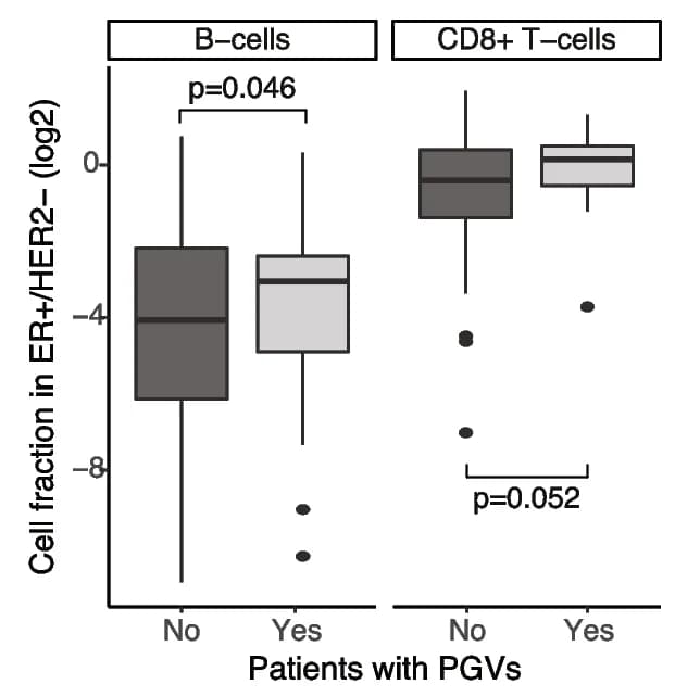 Open access visualization of Box Plot, Cell fraction, Immune cell types, Pathogenic Germline Variants, ER+/HER2- cases