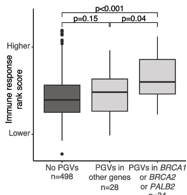 Open access visualization of Box Plot, Gene expression, Immune response score, ER+/HER2- cases, Pathogenic Germline Variants