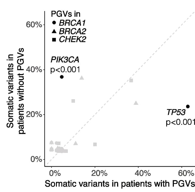 Open access visualization of Scatter Plot, Somatic variants, Patient germline variant status, BRCA1, BRCA2