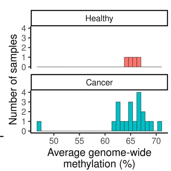 Open access visualization of Histogram, Methylation quantification, Genome-wide, cfDNA