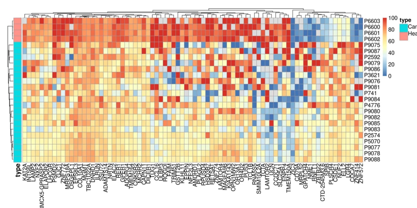 Open access visualization of Heatmap, Clustered, Methylation profiles, cfDNA, Gene-level methylation