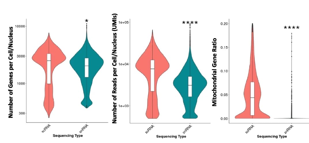 Open access visualization of Violin Plot, Box Plot, Scatter Plot, scRNA-seq, snRNA-seq