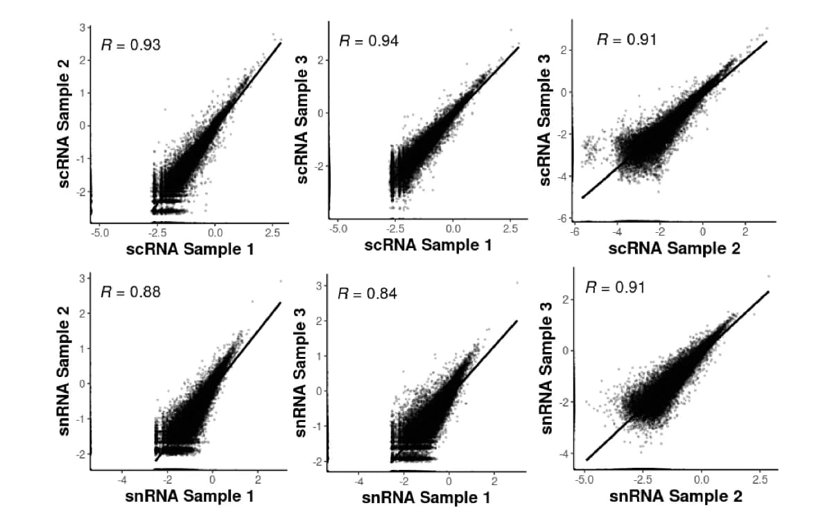 Open access visualization of Scatter Plot, Regression Plot, Gene Expression Correlation, Human Islet Cells, Human Islet Nuclei