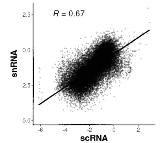 Open access visualization of Scatter Plot, Regression Plot, Gene Expression Correlation, RNA Sequencing, scRNA