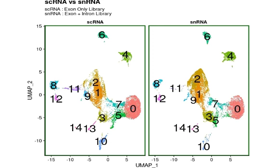 Open access visualization of UMAP, Unsupervised Clustering, scRNA-seq, snRNA-seq, Integrated Data