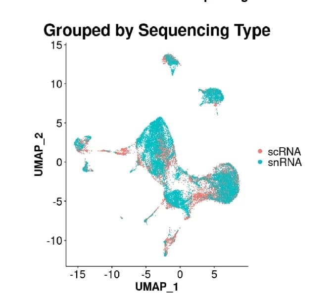 Open access visualization of Scatter Plot, UMAP, Dimensional Reduction, RNA Sequencing