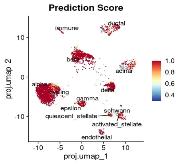 Open access visualization of UMAP, Scatter Plot, Cell type annotation, Prediction score, Dimensional reduction plot