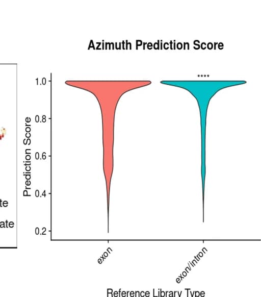 Open access visualization of Violin Plot, Prediction score, snRNA-seq analysis, Exon reads, Intron reads