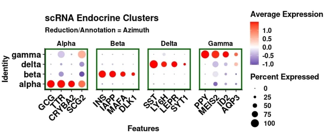 Open access visualization of Bubble Plot, Heatmap, Expression level, Canonical genes, Azimuth annotated endocrine cell types