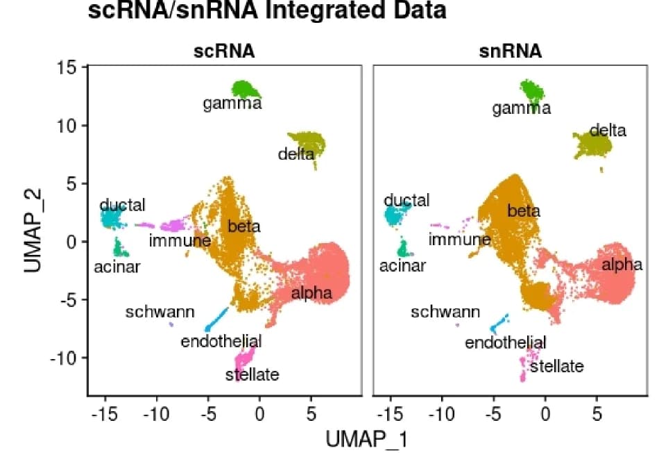 Open access visualization of UMAP, scRNA-seq, snRNA-seq, Cell Clusters