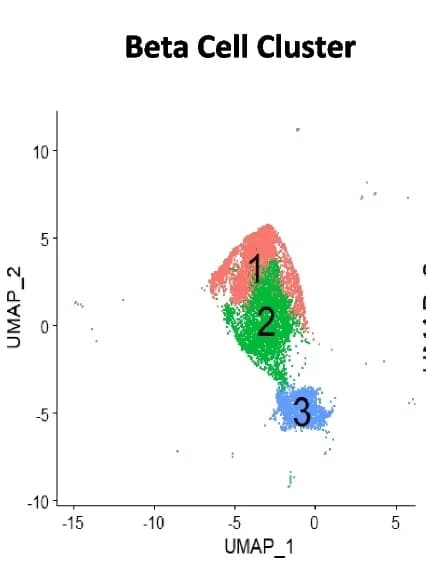 Open access visualization of Scatter Plot, UMAP, Beta-Cell Cluster, Cell Sub-clusters, Louvain Resolution