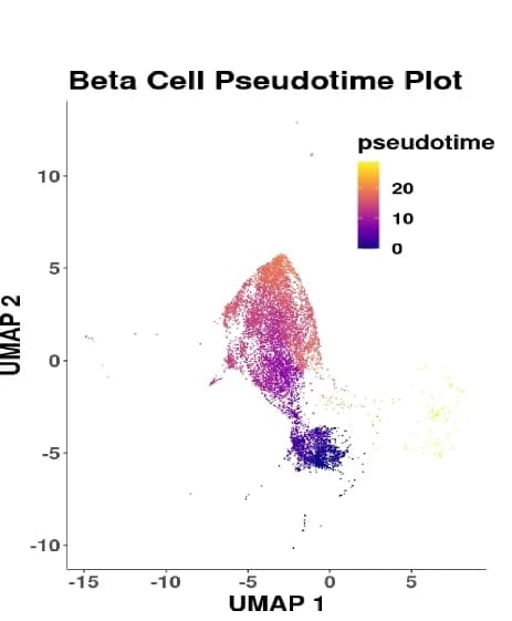 Open access visualization of Scatter Plot, UMAP, Monocle 3, Pseudo-time, Dimensional Reduction